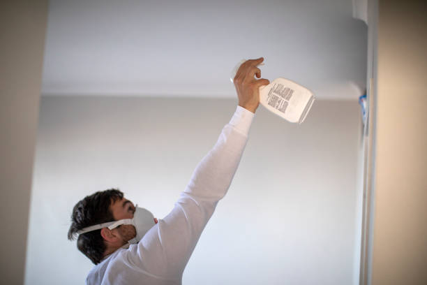 Trusted New Berlin, IL Mold Removal Experts