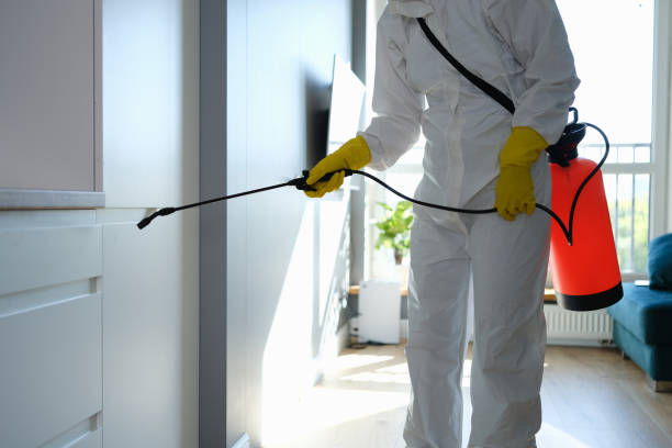 Best Fast Mold Removal  in New Berlin, IL